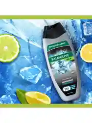 Гель для душа Palmolive MEN Арктический ветер 3 в 1 для тела, волос и лица, 450 мл, 2 шт