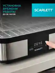 Сушилка для овощей и фруктов SCARLETT SC-FD421T19, 245 Вт, 5 поддонов, серебристый/черный
