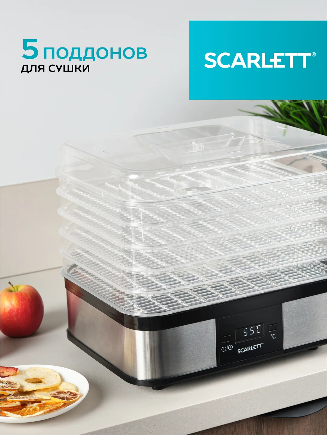Сушилка для овощей и фруктов SCARLETT SC-FD421T19, 245 Вт, 5 поддонов, серебристый/черный