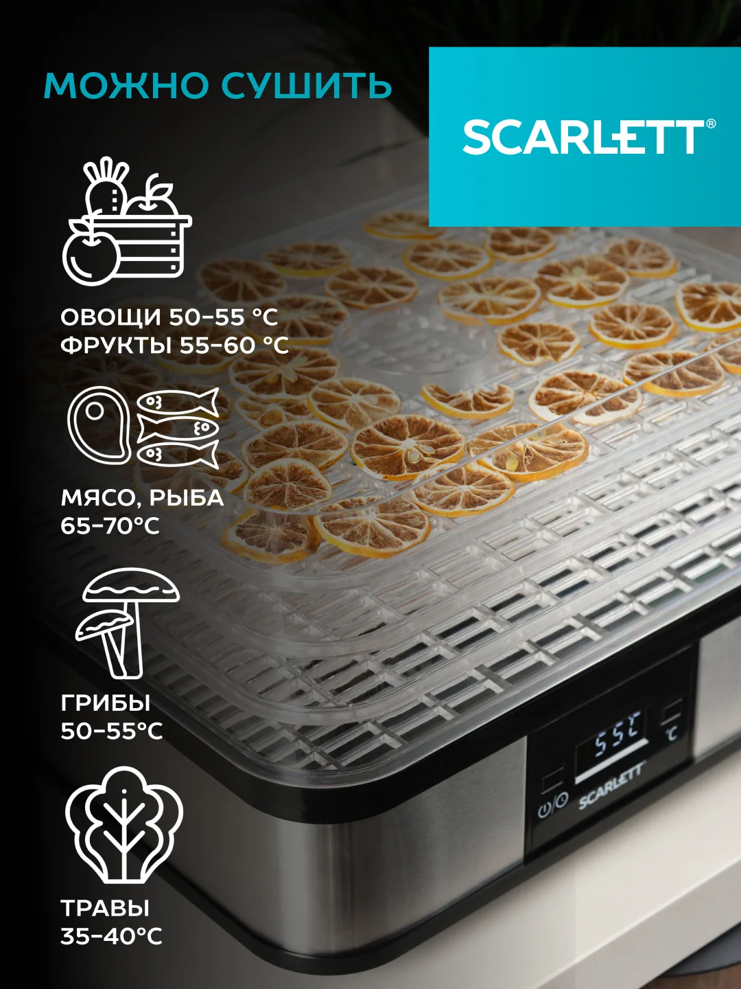 Сушилка для овощей и фруктов SCARLETT SC-FD421T19, 245 Вт, 5 поддонов, серебристый/черный