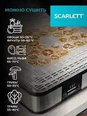 Сушилка для овощей и фруктов SCARLETT SC-FD421T19, 245 Вт, 5 поддонов, серебристый/черный