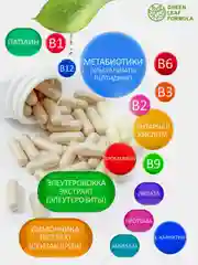 БАД Green Leaf Formula "Метабиотик с L-карнитином", для кишечника, для жкт, 60 капсул