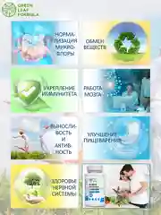 БАД Green Leaf Formula "Метабиотик с L-карнитином", для кишечника, для жкт, 60 капсул