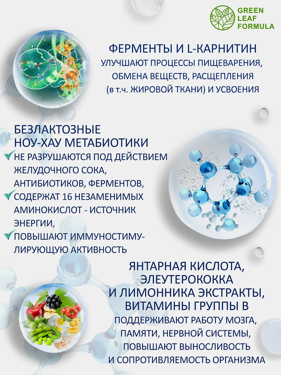 БАД Green Leaf Formula "Метабиотик с L-карнитином", для кишечника, для жкт, 60 капсул