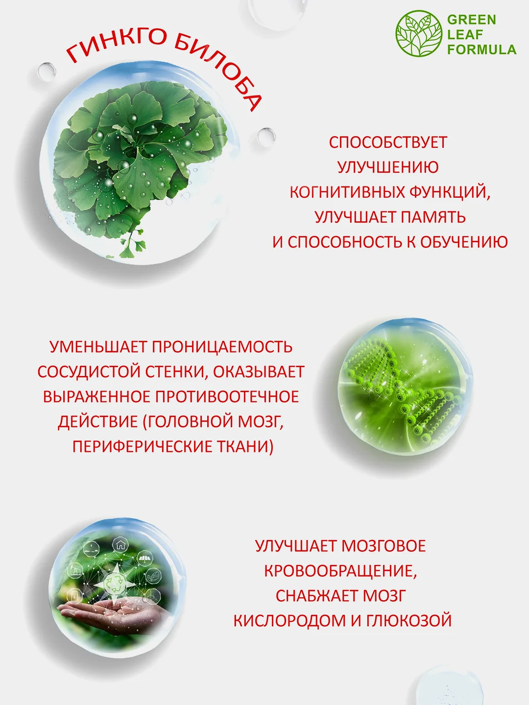 Витамины для взрослых Green Leaf Formula Neuro-Pront, для мозга и ЦНС, 30 капсул