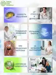 Витамины для взрослых Green Leaf Formula Neuro-Pront, для мозга и ЦНС, 30 капсул