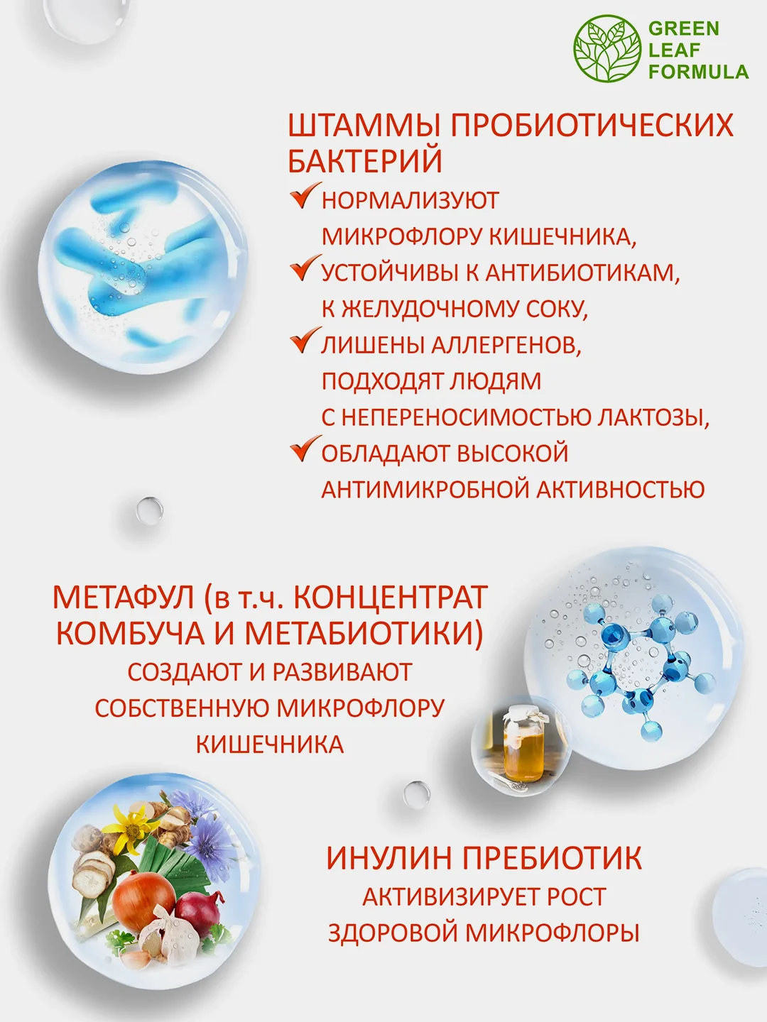 Капсулы PROBIOSKIN Green Leaf Formula, для здоровья кожи, слизистых и кишечника, 60 капсул