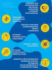 Витамины Green Leaf Formula Atero-Pront для сердца, сосудов и мозга, 60 капсул