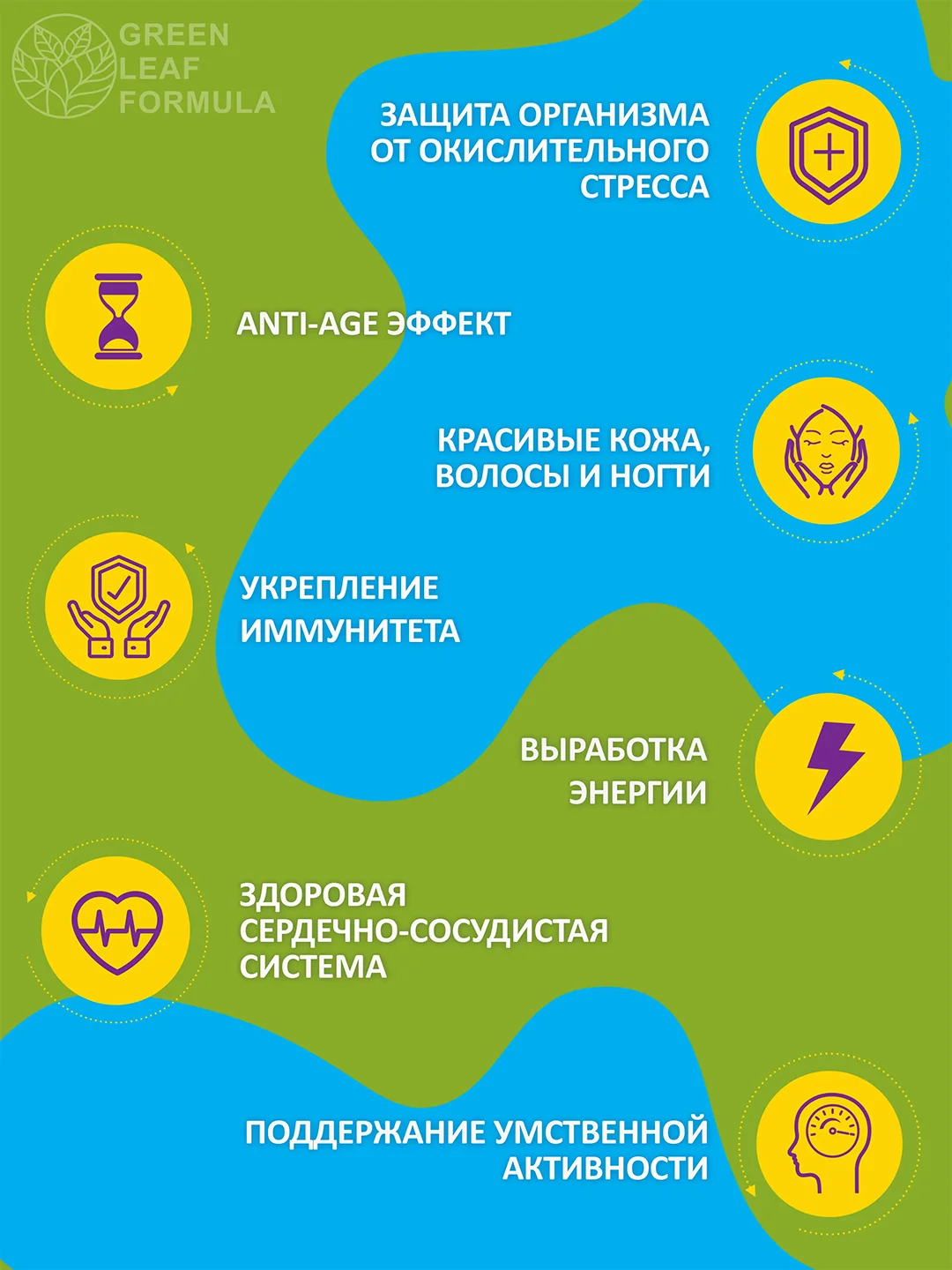 Коэнзим Q10 с биотином Green Leaf Formula, для сердца, сосудов и кожи, 60 капсул
