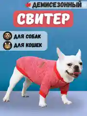 Красный свитер Classic для собак и кошек 18 цветов