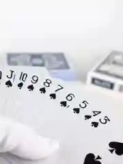 Карты игральные Club special №976 с пластиковым покрытием 54 шт