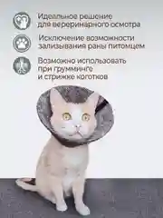 Воротник ветеринарный для кошек и собак