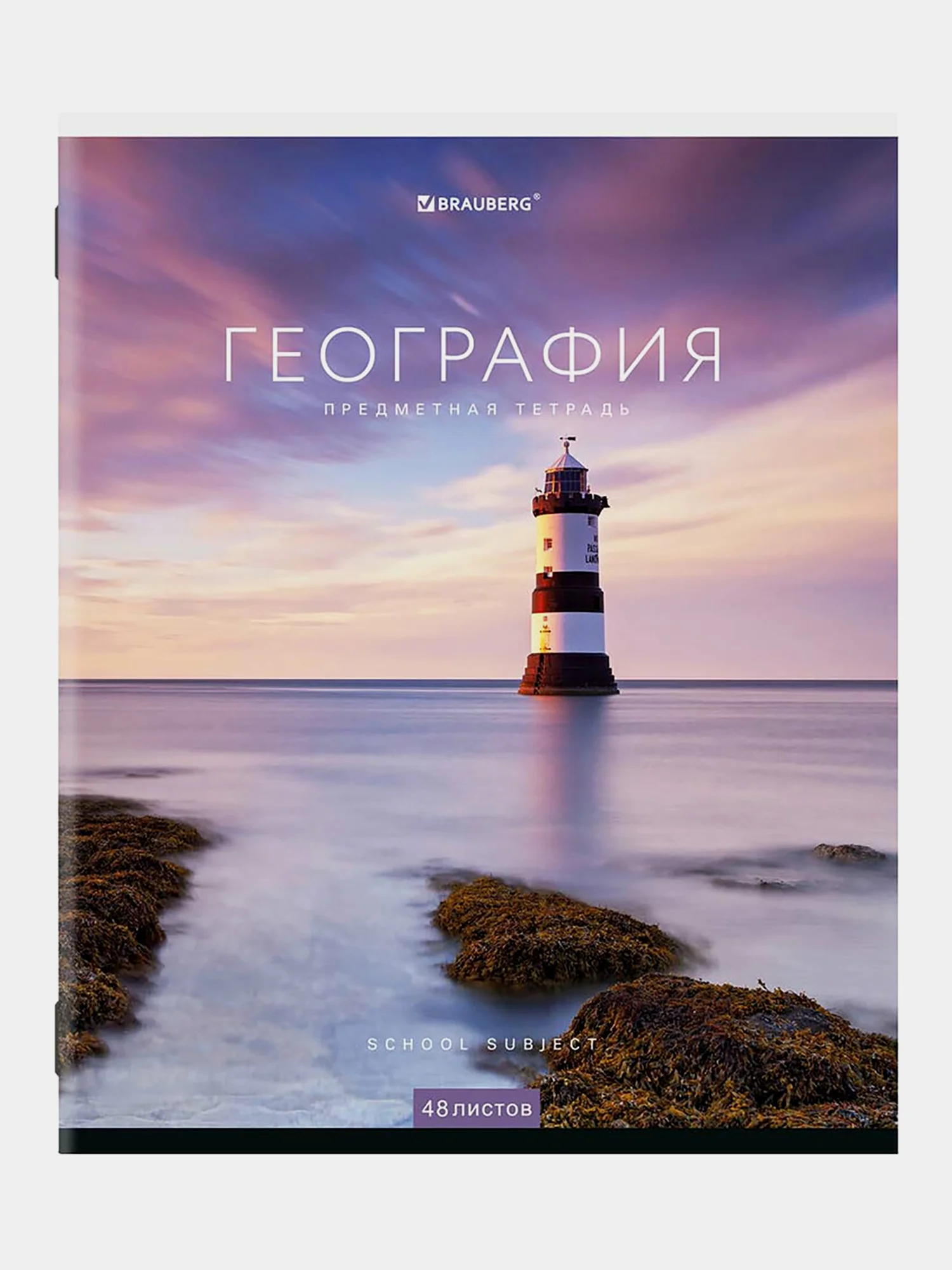 Тетради предметные школьные, в клетку / линейку, Комплект 12 Предметов, Классика New, 48л