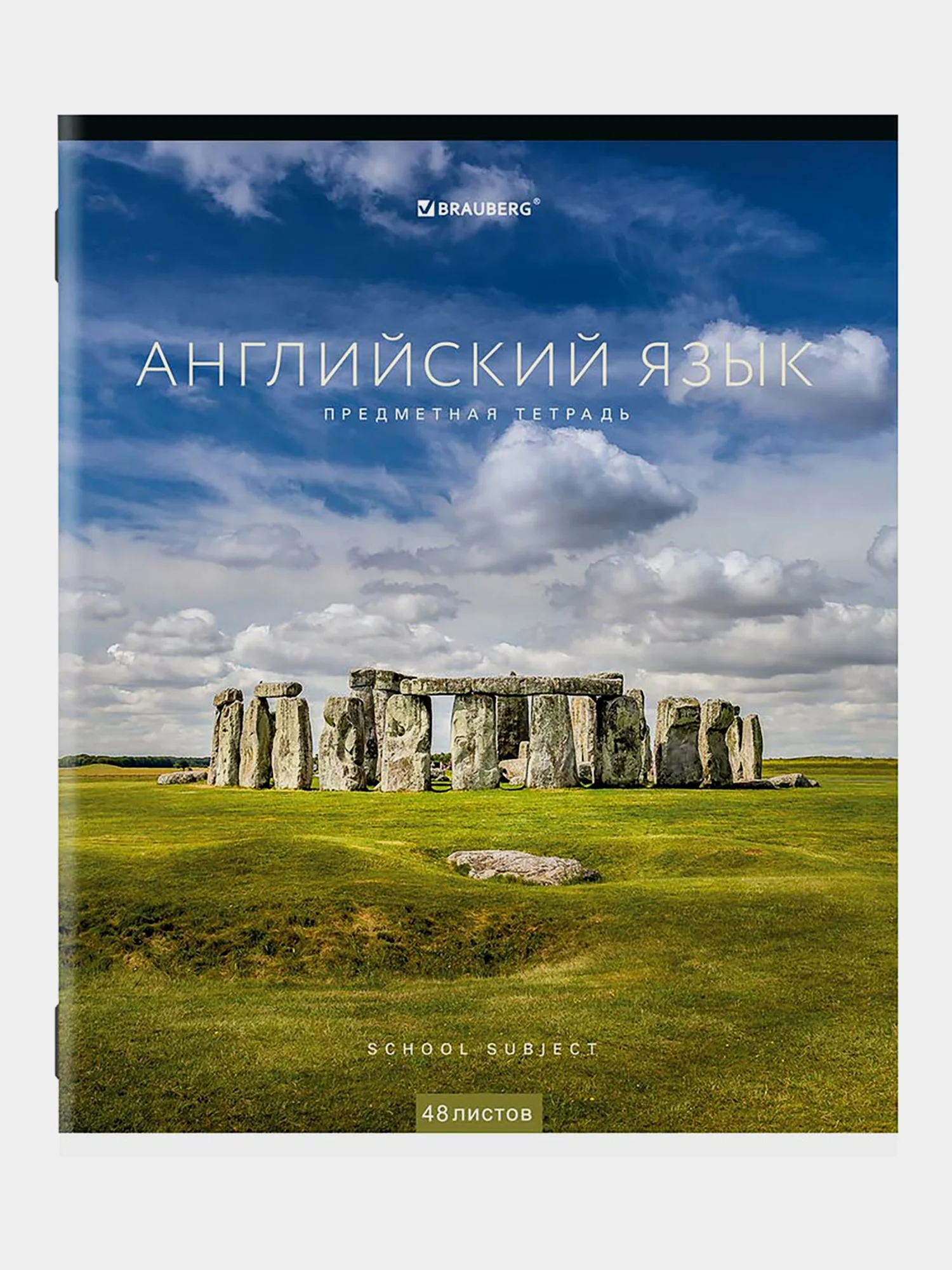 Тетради предметные школьные, в клетку / линейку, Комплект 12 Предметов, Классика New, 48л