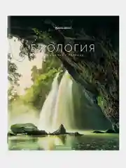 Тетради предметные школьные, в клетку / линейку, Комплект 12 Предметов, Классика New, 48л