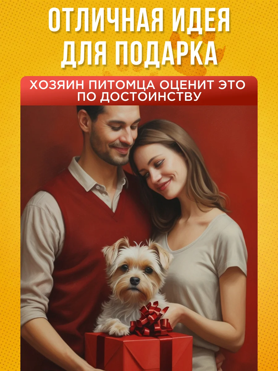 Обувь для собак летняя размер 4