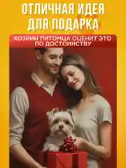 Обувь для собак летняя размер 4