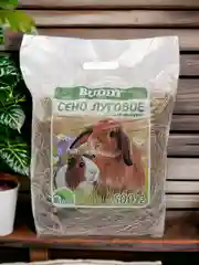 Сено луговое для грызунов, 500 г