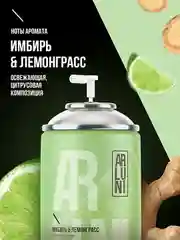 Освежитель воздуха Arluni "Имбирь & лемонграсс", сменный аэрозольный баллон, 250 мл