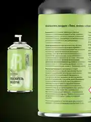 Освежитель воздуха Arluni "Липа& зелень", сменный аэрозольный баллон, 250 мл