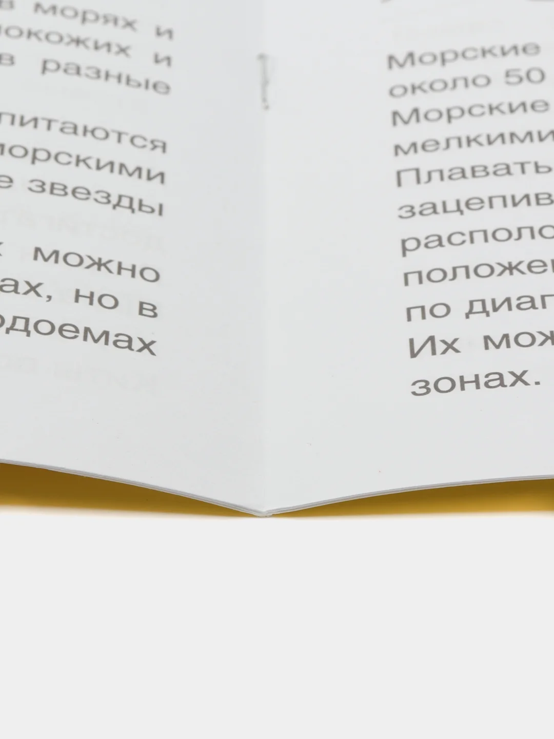 Раскраска Морские Жители 8 картинок А4