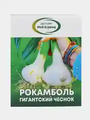 Рокамболь семена детки 10 шт ГИГАНТСКИЙ ЧЕСНОК