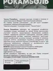 Рокамболь семена детки 10 шт ГИГАНТСКИЙ ЧЕСНОК