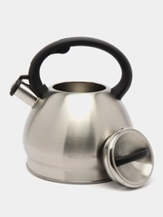 Чайник WILLMARK WTK-4221SS 3,5л матовый