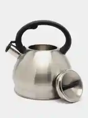 Чайник WILLMARK WTK-4221SS 3,5л матовый