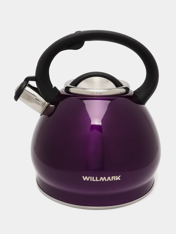 Чайник со свистком WILLMARK WTK-4221SS