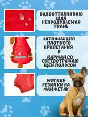 Красный комбинезон дождевик с капюшоном для собак, 4 цвета