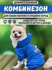Синий комбинезон дождевик с капюшоном для собак, 4 цвета