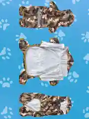 Хаки комбинезон дождевик с капюшоном для собак, 4 цвета