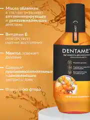 Жидкость для ирригатора DENTAMET 2в1, Облепиха, 580 мл
