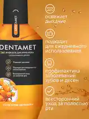 Жидкость для ирригатора DENTAMET 2в1, Облепиха, 580 мл