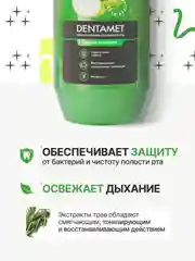 Ополаскиватель для полости рта DENTAMET Защита и Свежесть, Яблоко, 580 мл