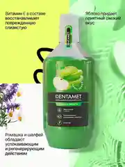 Ополаскиватель для полости рта DENTAMET Защита и Свежесть, Яблоко, 580 мл