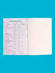 Салатовый сувениры подарочные Казань: магниты, брелоки, кружки, ручки, тюбетейки, Кот Казанский