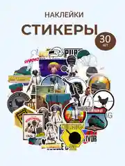 Черный наклейки-стикеры капибара, котики, винтажные, игра PUBG, бутылки вина