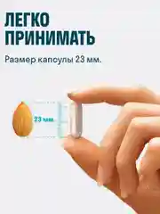 LeafToGo "Ежовик гребенчатый", мицелий и кордицепс, 120 капсул