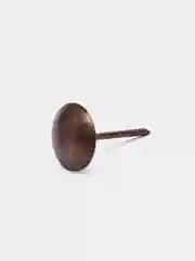 Гвозди ТУНДРА, декоративные, 10х18,5 мм, медь, 100 шт