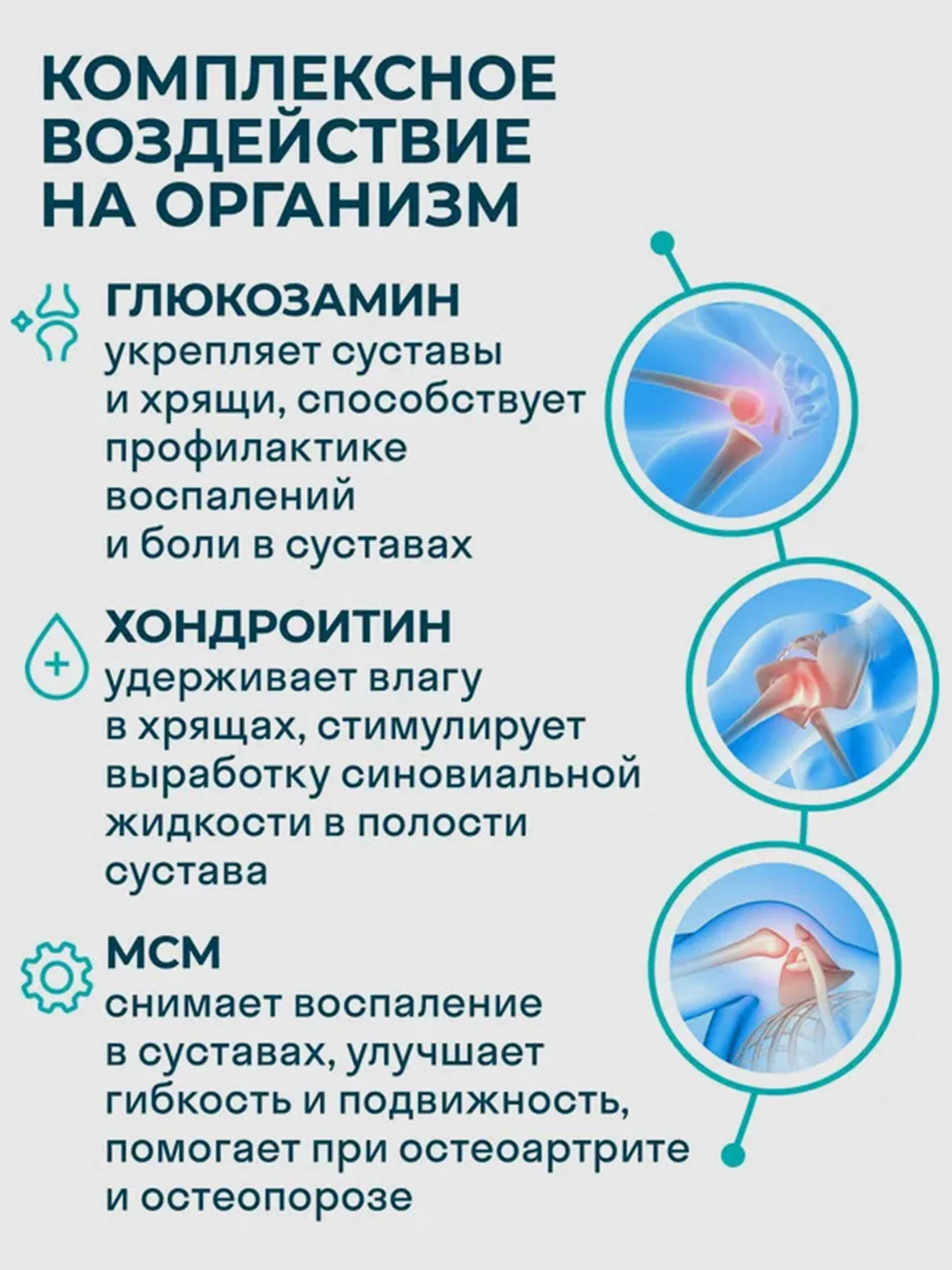 БАД к пище LeafToGo Глюкозамин-Хондроитин, с МСМ, 90 таблеток