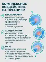 БАД к пище LeafToGo Глюкозамин-Хондроитин, с МСМ, 90 таблеток