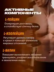 Аминокислоты LeafToGo ВСАА 2:1:1, цитрус, порошок, 500 г