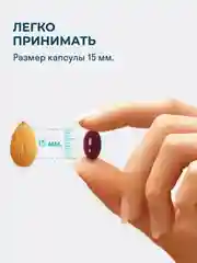 БАД к пище LeafToGo  Коэнзим Q10, 100 мг, 60 капсул