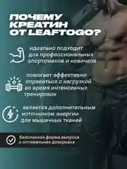 Креатин моногидрат LeafToGo, 280 г