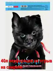 Розовый альбом для рисования 40л А4 на скобе 50 видов/Хатбер