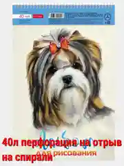 Рыжий альбом для рисования 40л А4 на скобе 50 видов/Хатбер