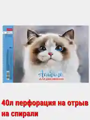 Салатовый альбом для рисования 40л А4 на скобе 50 видов/Хатбер