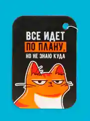 Оранжевый ароматизатор воздуха в авто , "Вонючка" автомобильная